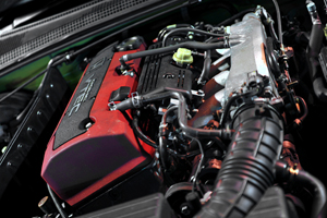 101121 saclam1 DSC_5873.jpg